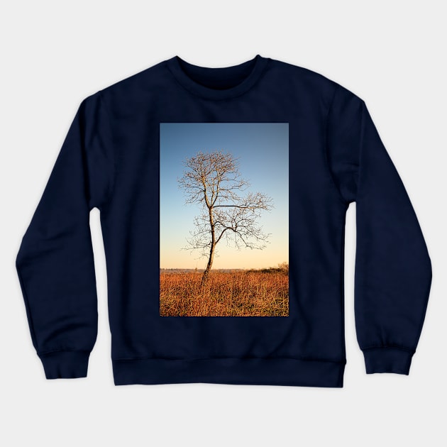 Lone Tree Silhouette Crewneck Sweatshirt by mcdonojj